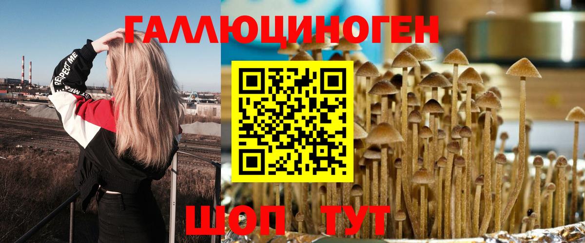 Псилоцибиновые грибы прущие грибы Новороссийск