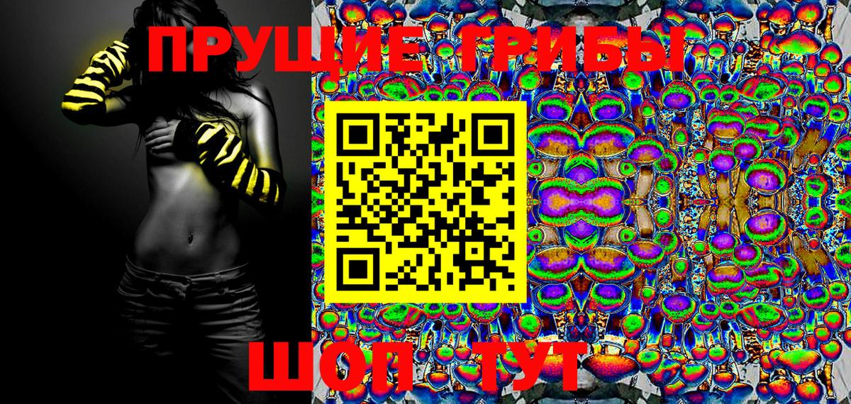 Галлюциногенные грибы Psilocybe  Вход с VPN  Новороссийск 